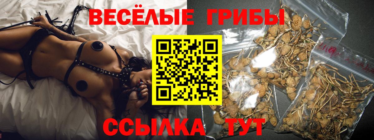 Галлюциногенные грибы прущие грибы Пермь
